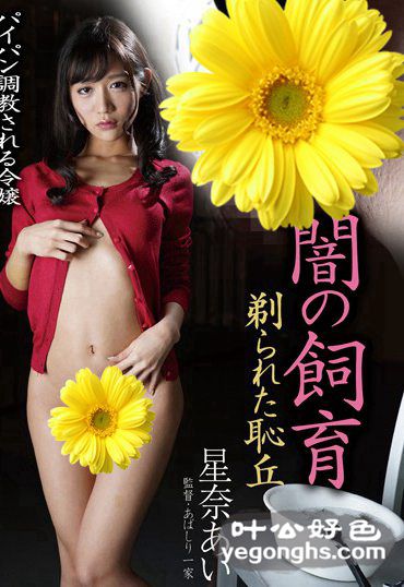 BDA-083 星奈爱