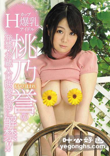 DPIDV-010