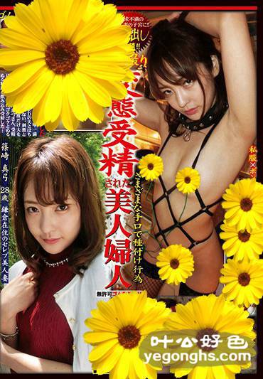 GAMS-017湭