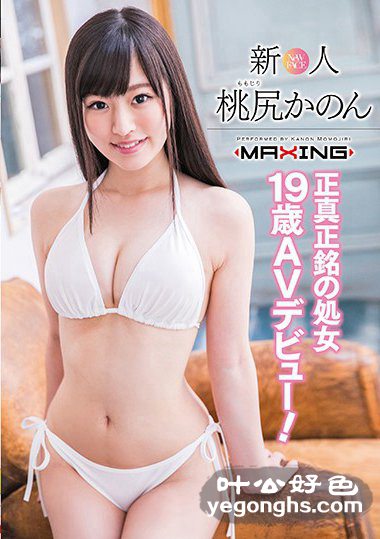 GS-1013 껨