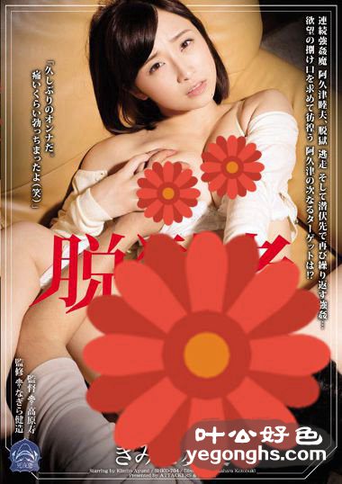 SHKD-704ʵ