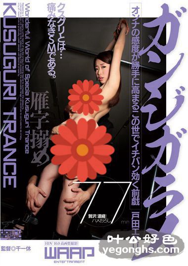 WWW-048 