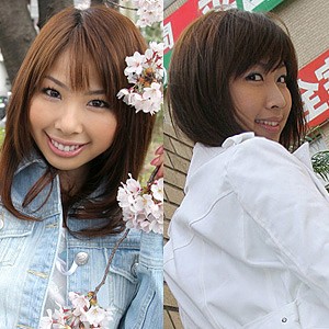 SHC-094 