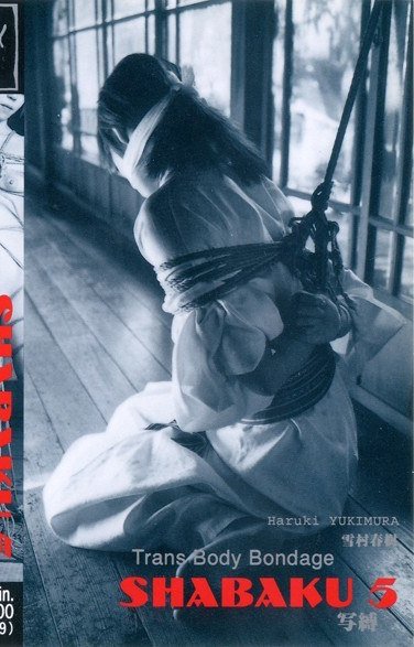 Y-006 ꥫ