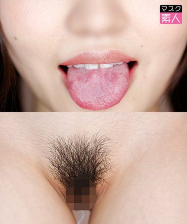 SDTX-004 