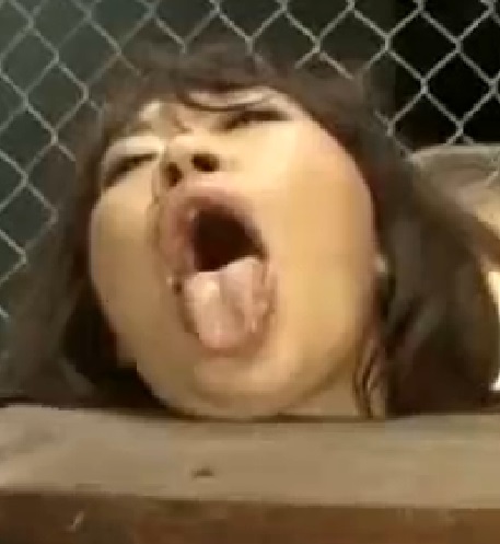 ȴδ_Lȴδ